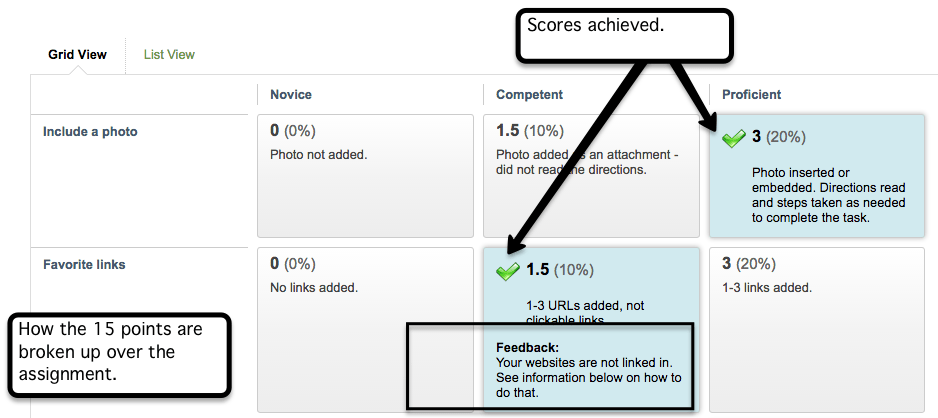 Where scores are displayed in the rubric interface.