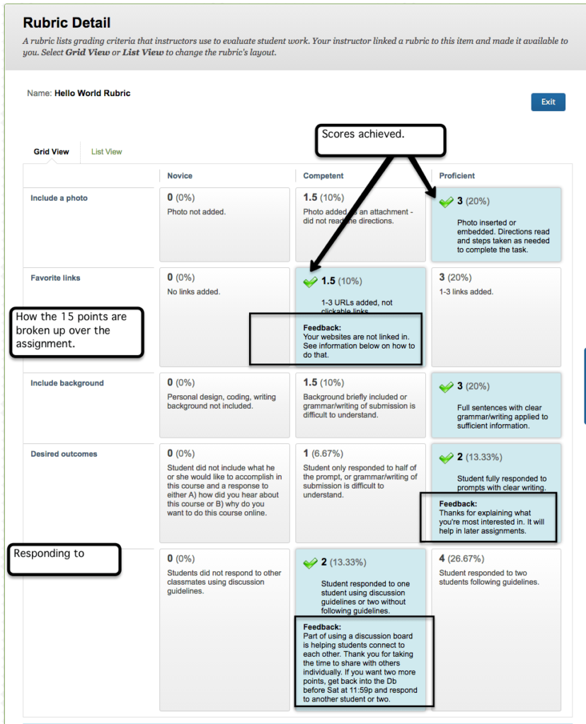 Grid view of a rubric in Blackboard