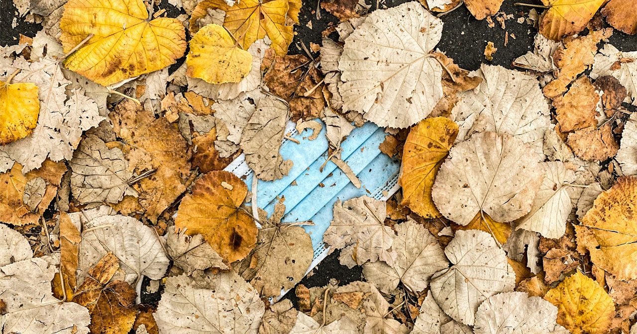 An N-95 mask hidden amongst fall leaves.