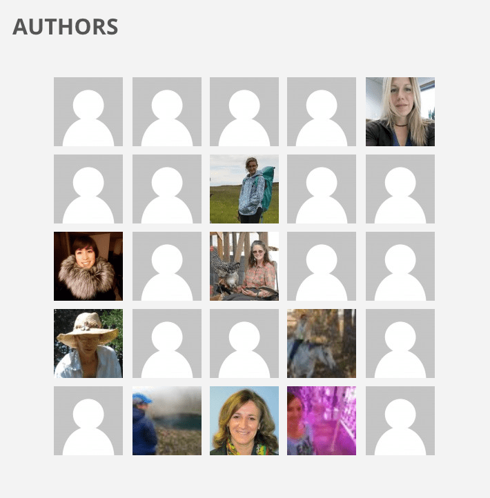 A grid of site authors displayed in WordPress.