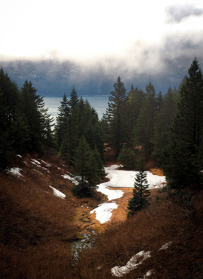 The low-hanging clouds typical of Southeastern Alaska thin briefly to allow sunlight to press through, illuminating the valley below while keeping everything else in shadow.